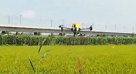 “粮食杀手”侵袭，数字鹰AK系列植保无人机为作物高产续航