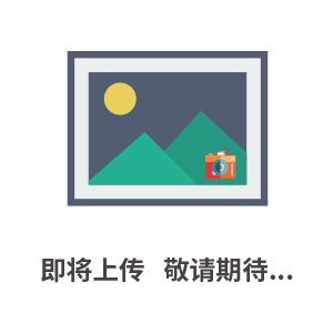 TR35 轮边减速器
